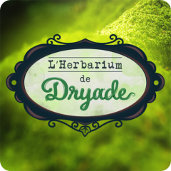 L'Herbarium de Dryade